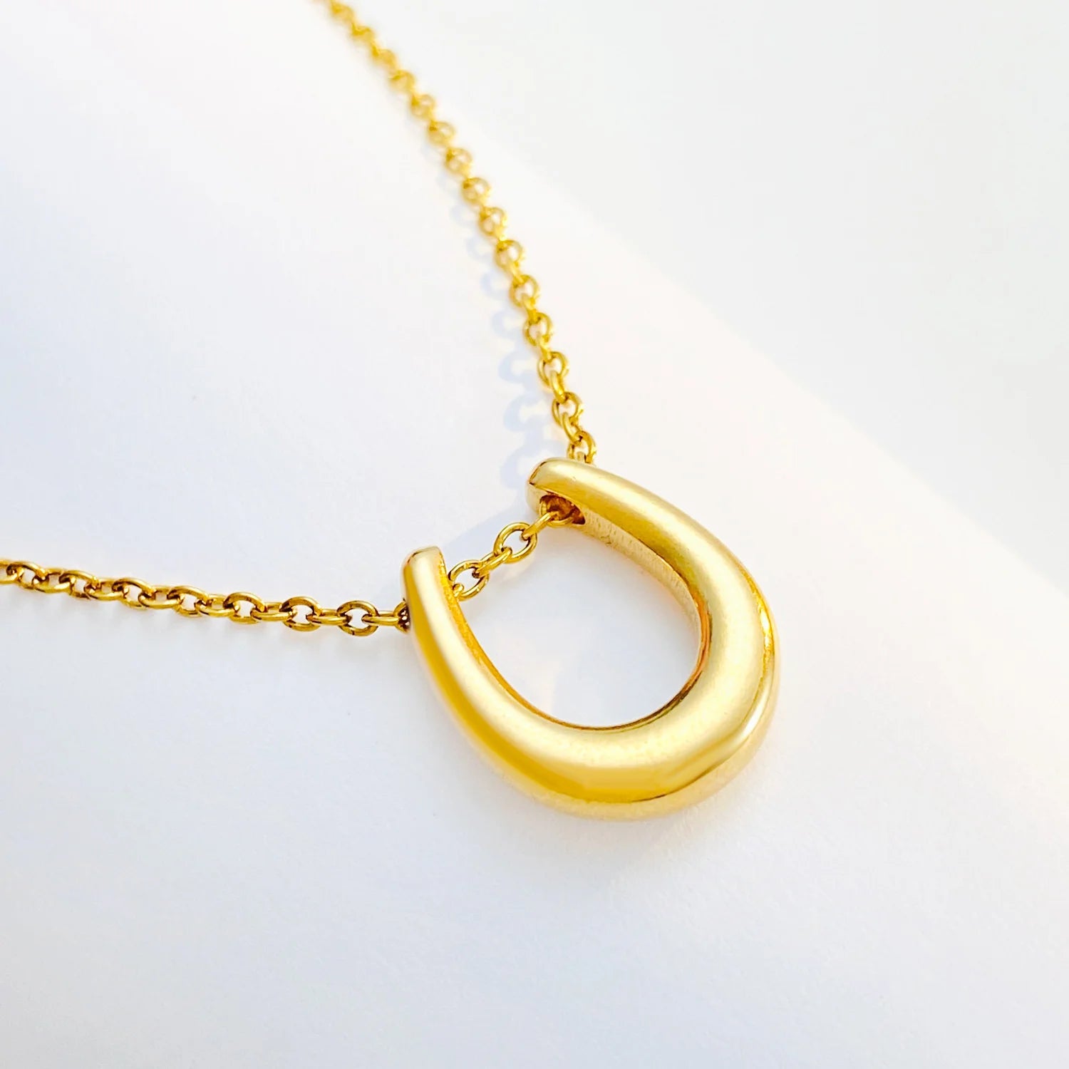 Horseshoe U-shaped Necklace